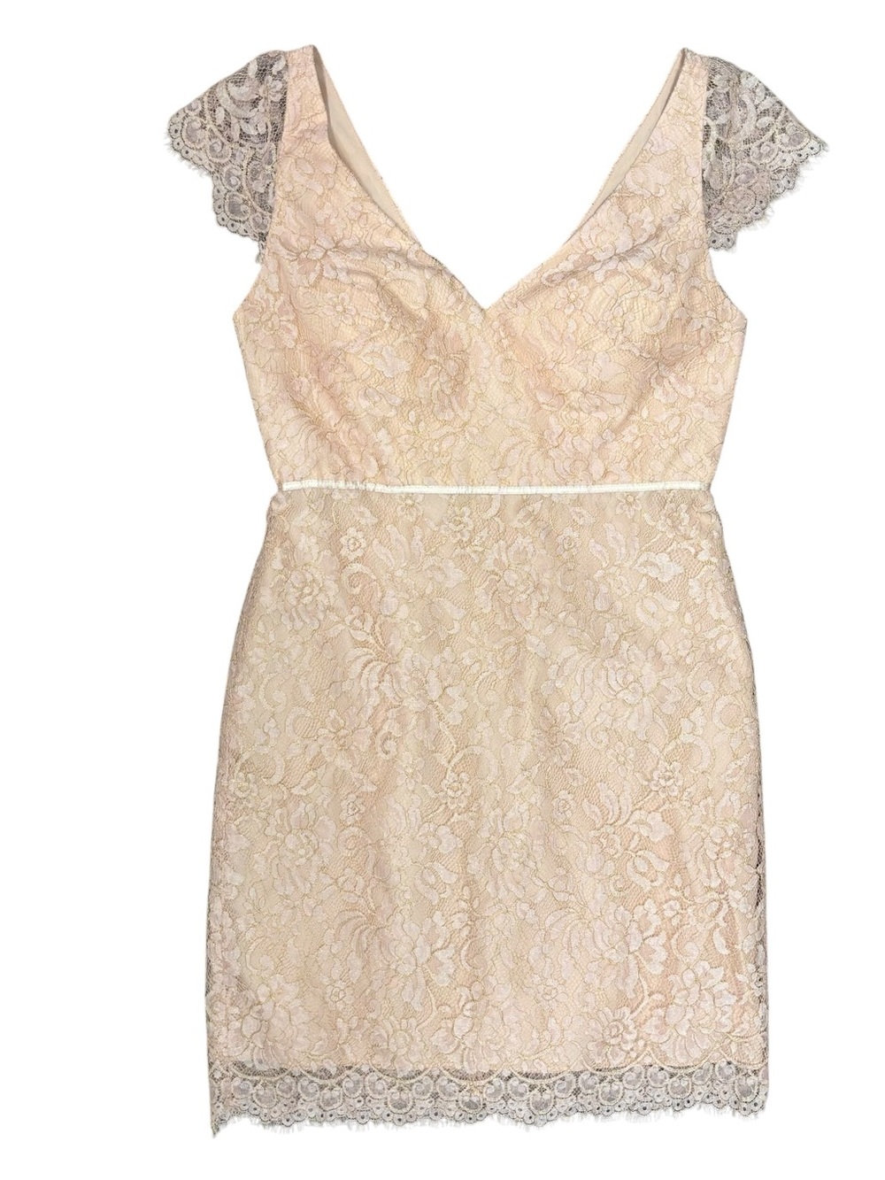 Jenny Yoo Anthropologies Bridgette Blush Pink Lace Cap Sleeve Dress Size 8